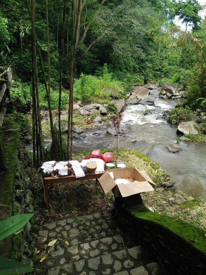 Shanti Natural Panorama View Hotel Singaraja Esterno foto