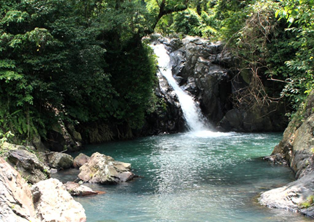 Shanti Natural Panorama View Hotel Singaraja Esterno foto