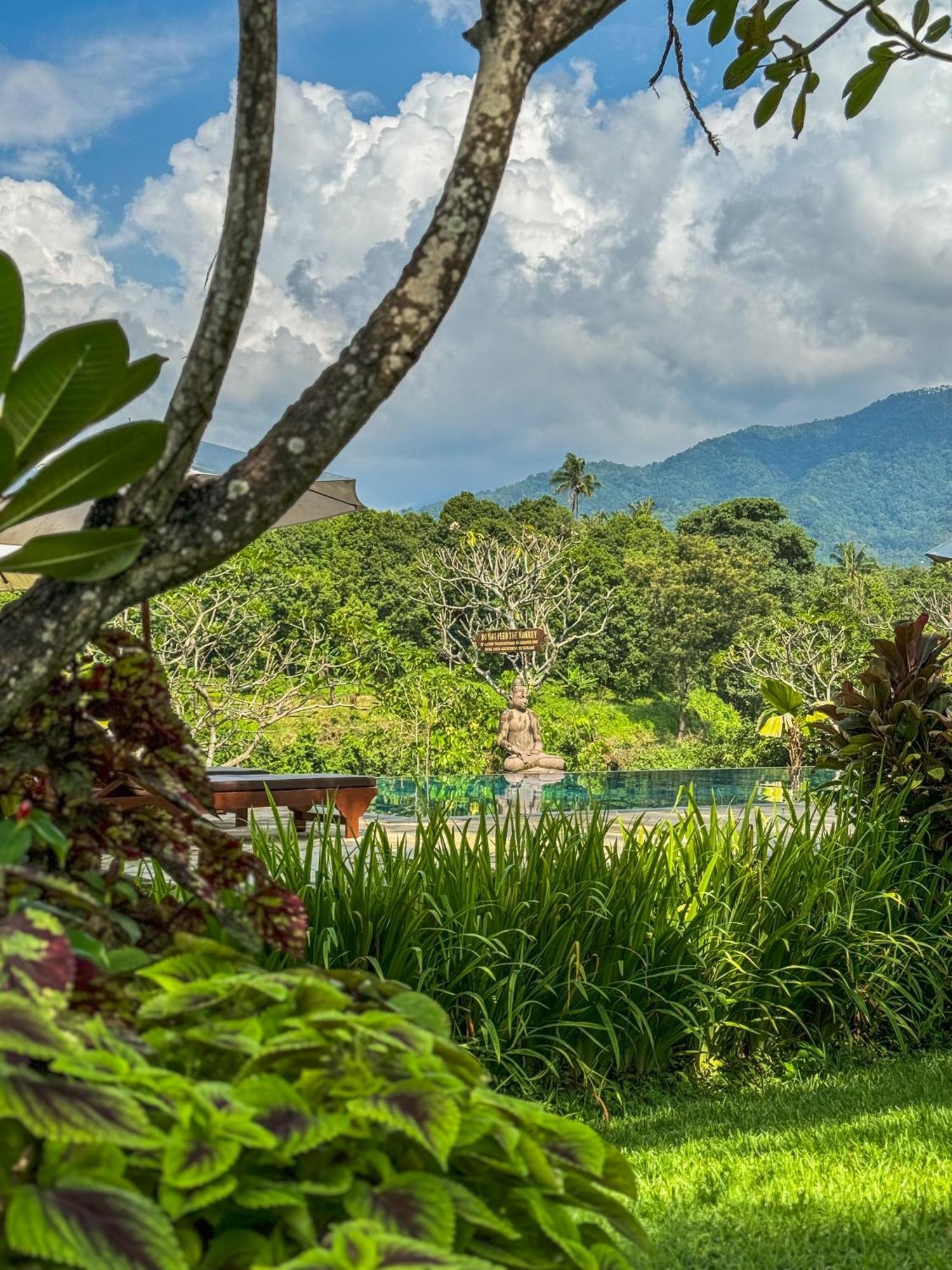 Shanti Natural Panorama View Hotel Singaraja Esterno foto